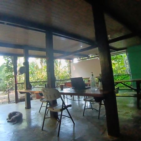 Nativos Corcovado Cabins Drake Bay ภายนอก รูปภาพ
