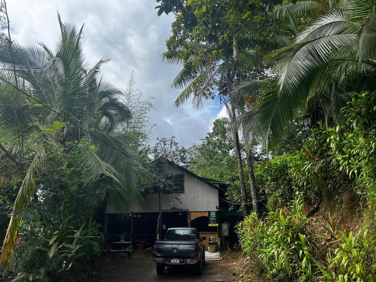 Nativos Corcovado Cabins Drake Bay ภายนอก รูปภาพ