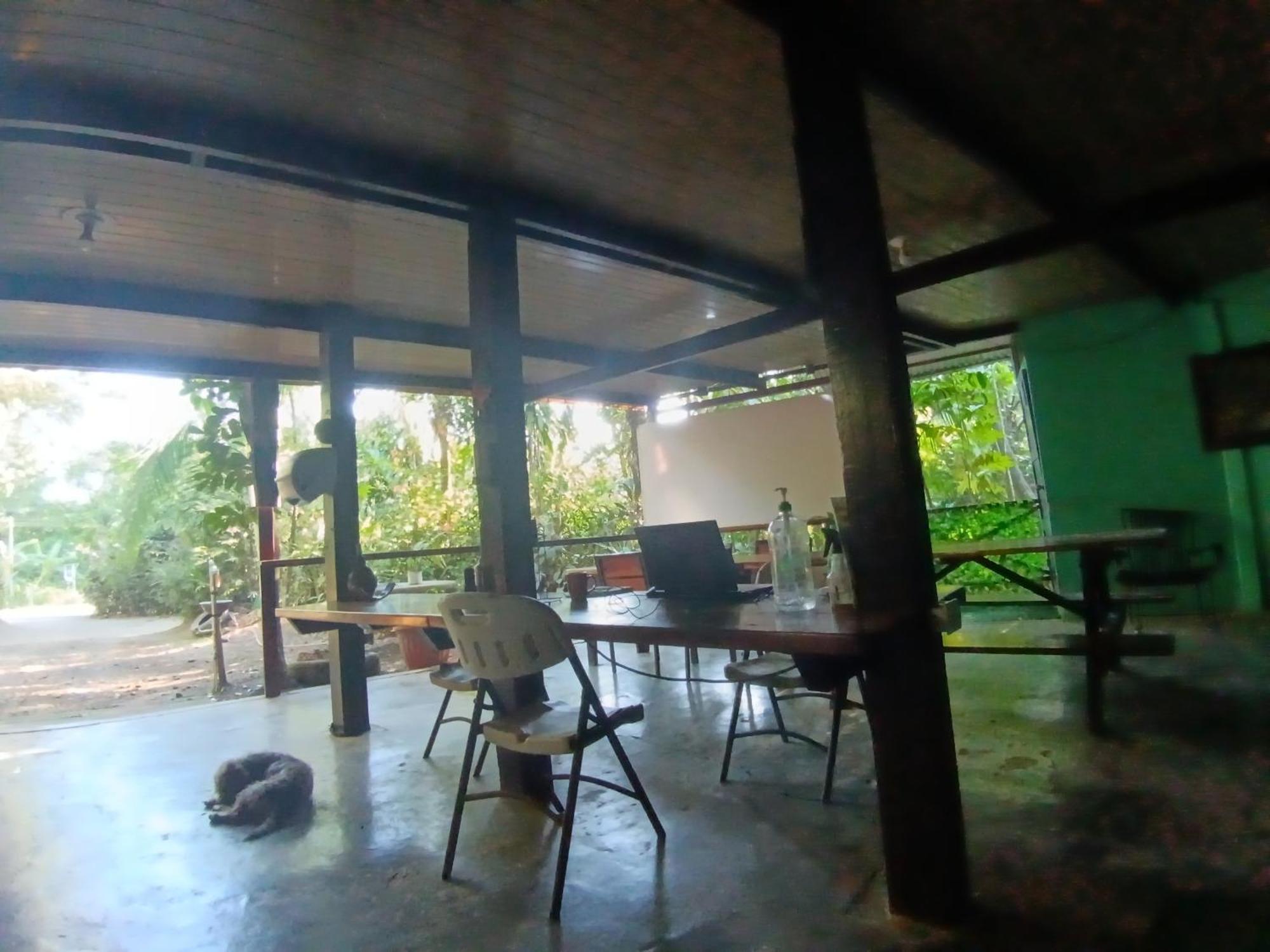 Nativos Corcovado Cabins Drake Bay ภายนอก รูปภาพ